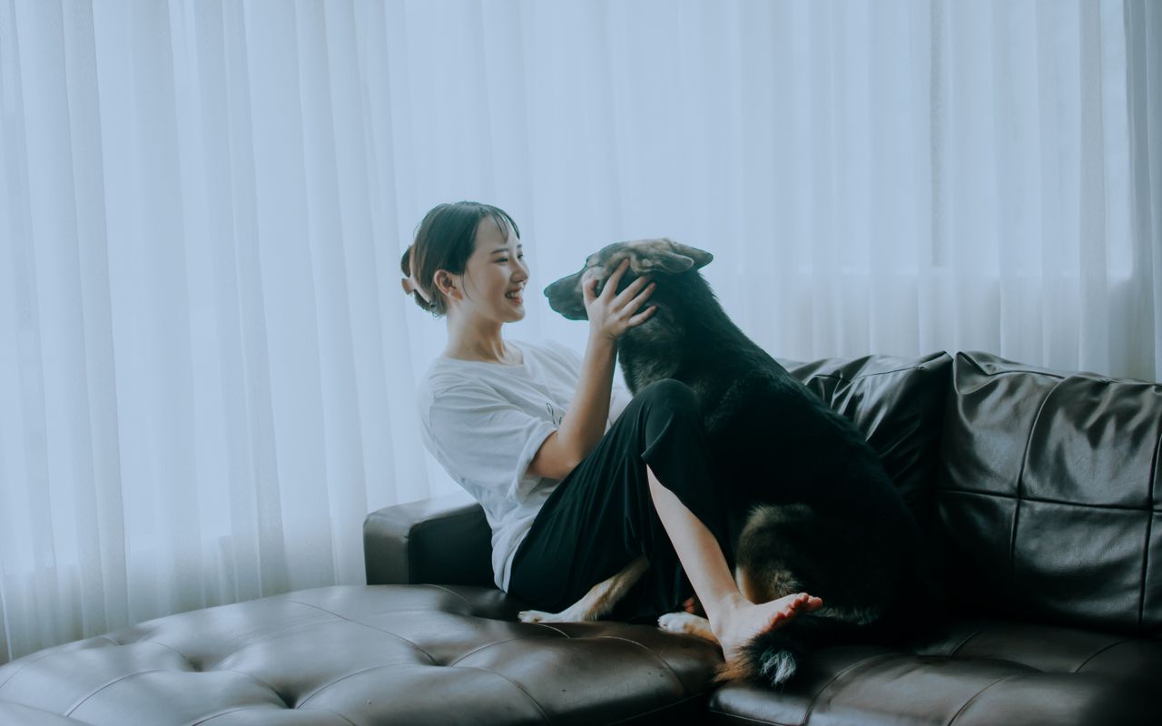 Giornata Mondiale del Cane